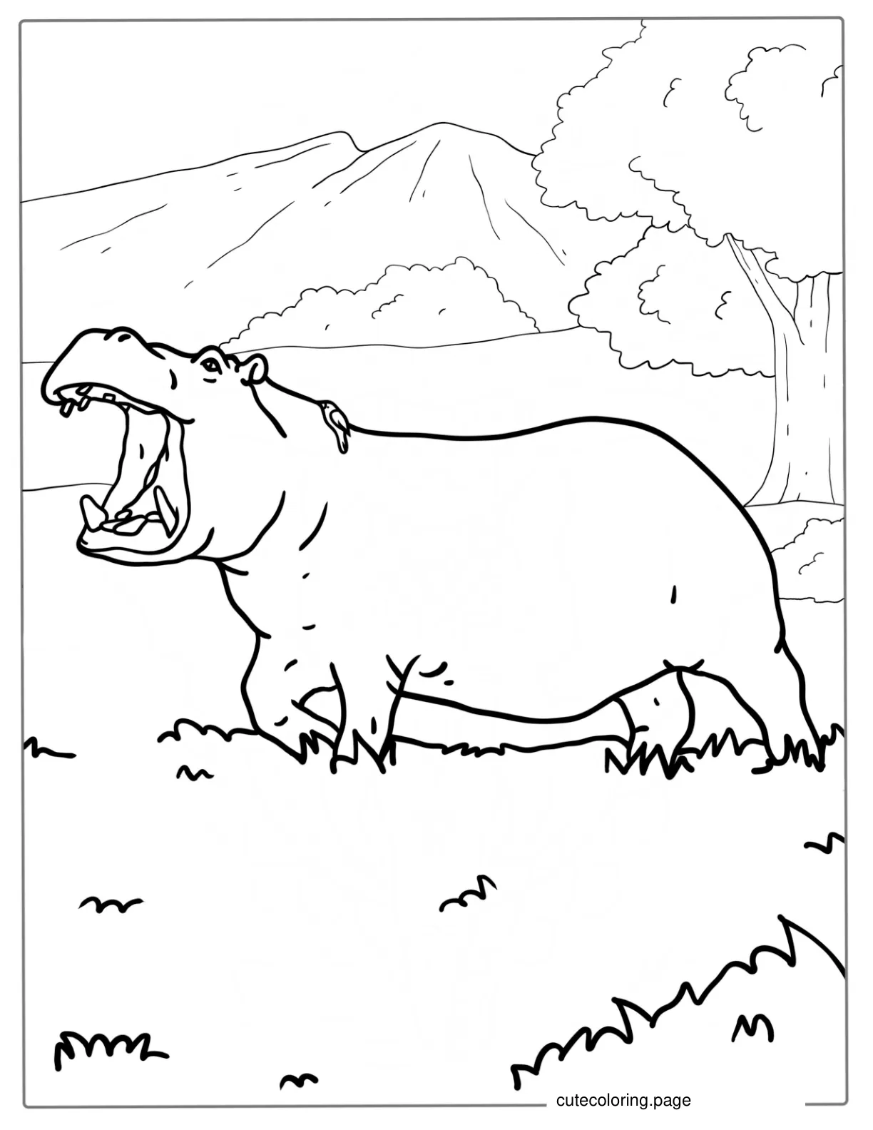 East African Hippo Walking In The Sahara coloring page