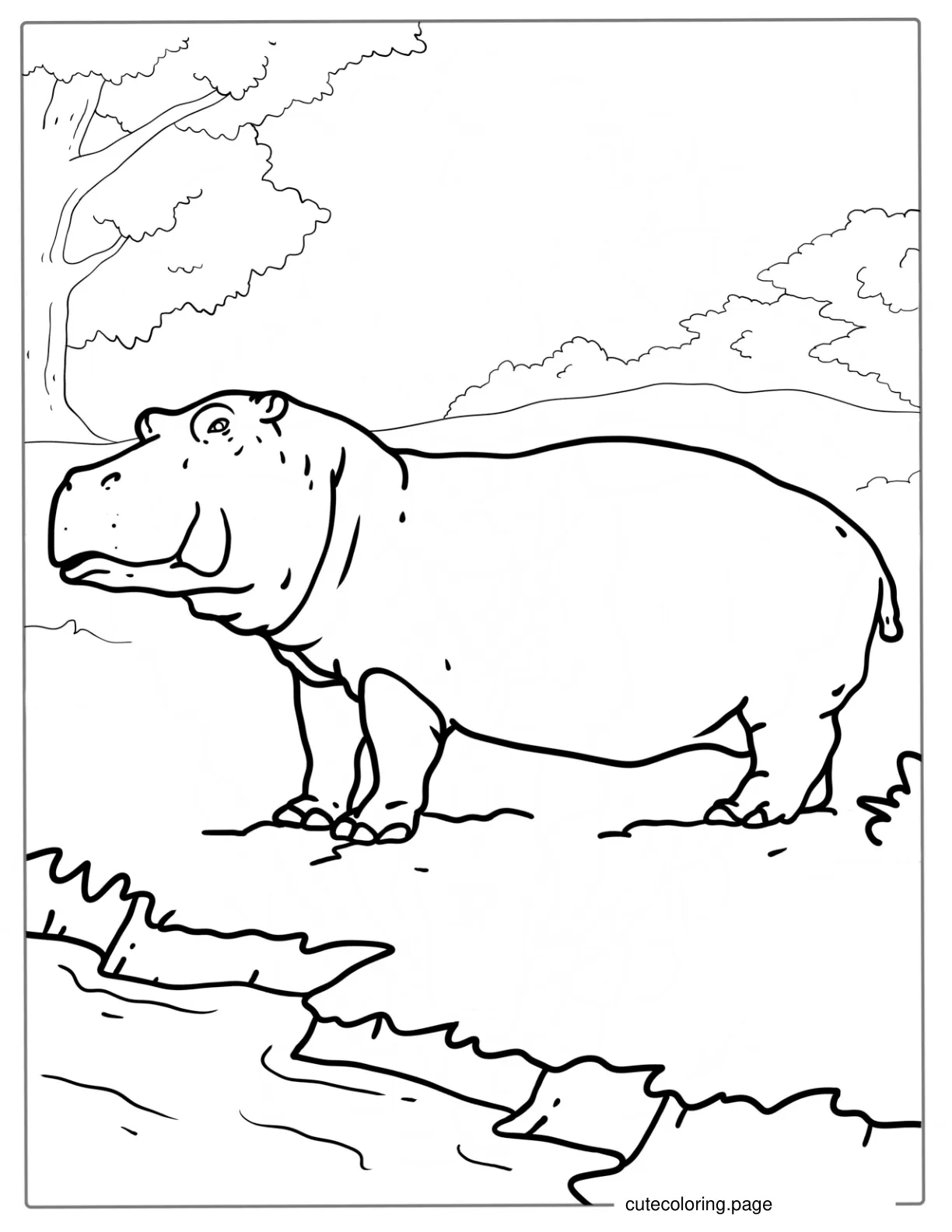 Hippo About To Go In Water To Cool Down coloring page