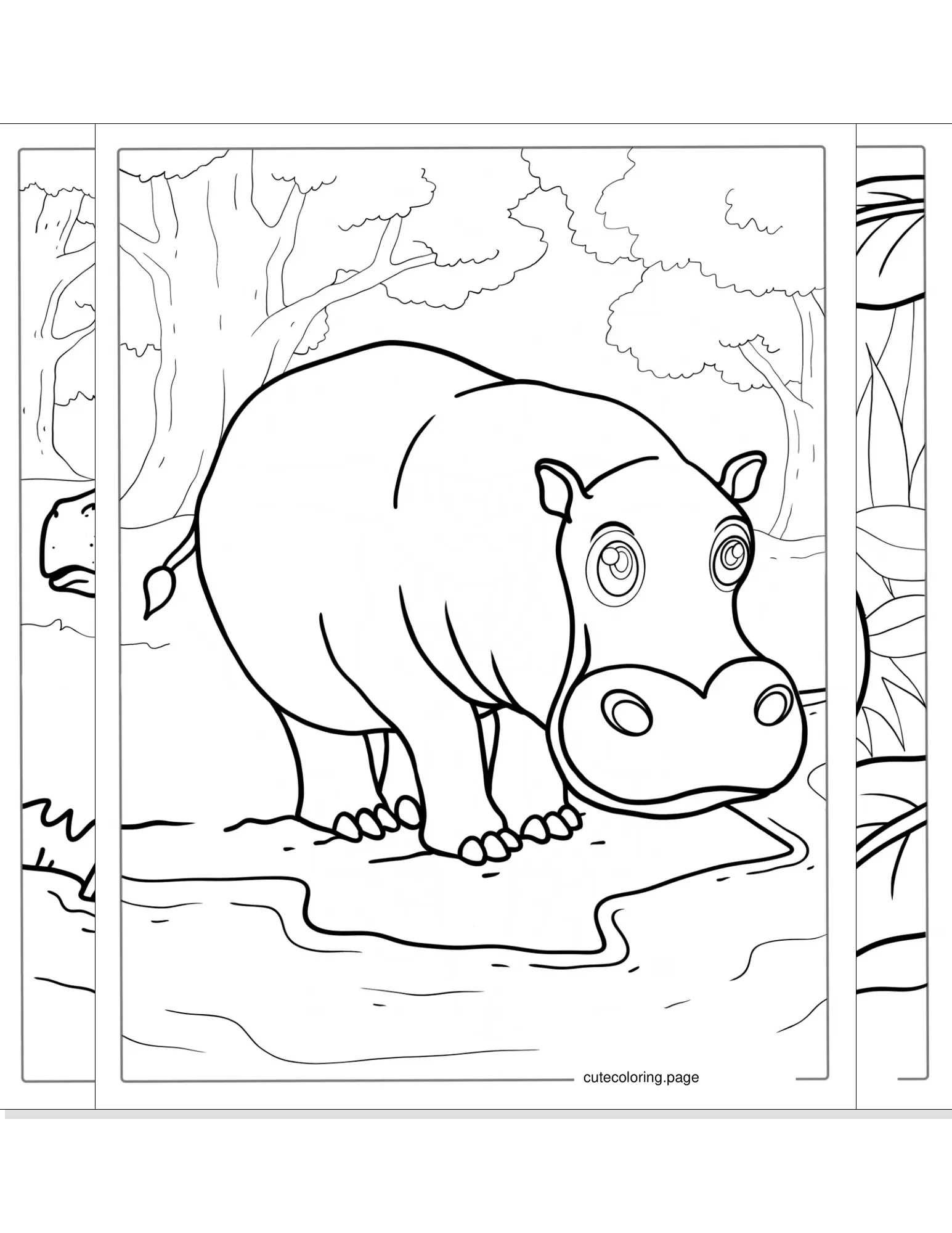 hippo coloring pages coloring page