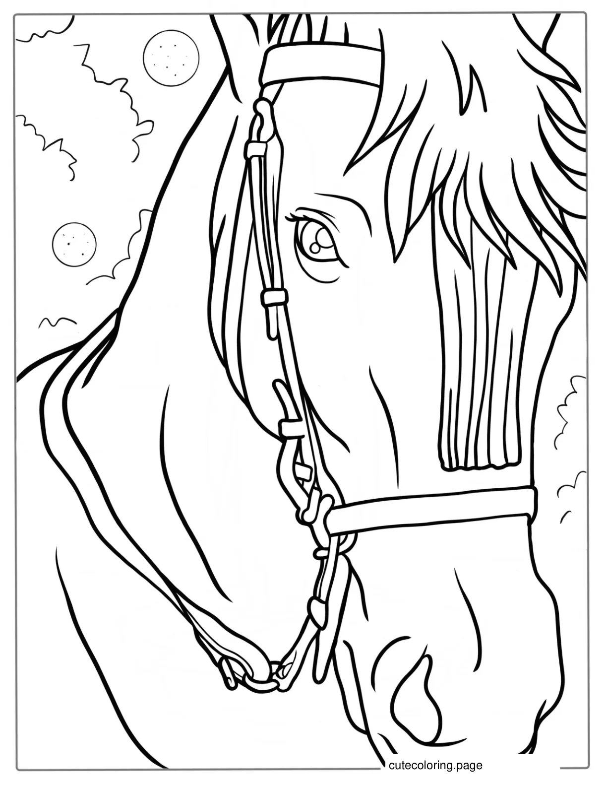 Close Up Of Horse Face Coloring Page coloring page