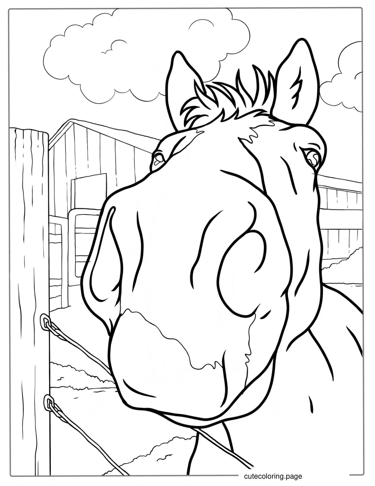 Close Up Of Horse Nose To Color coloring page