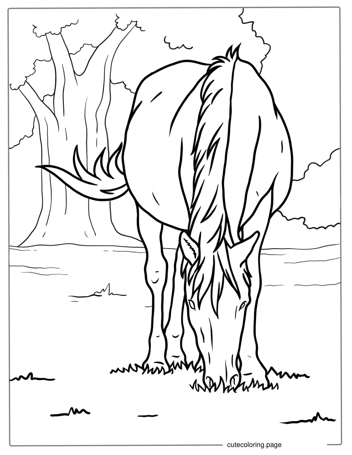 Horse Grazing On Grass In Paddock Coloring Sheet coloring page