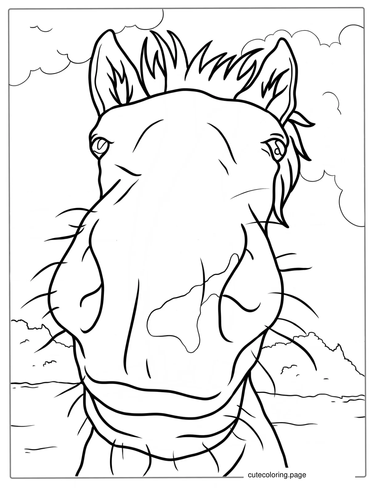 Horse Nose Coloring Sheet coloring page