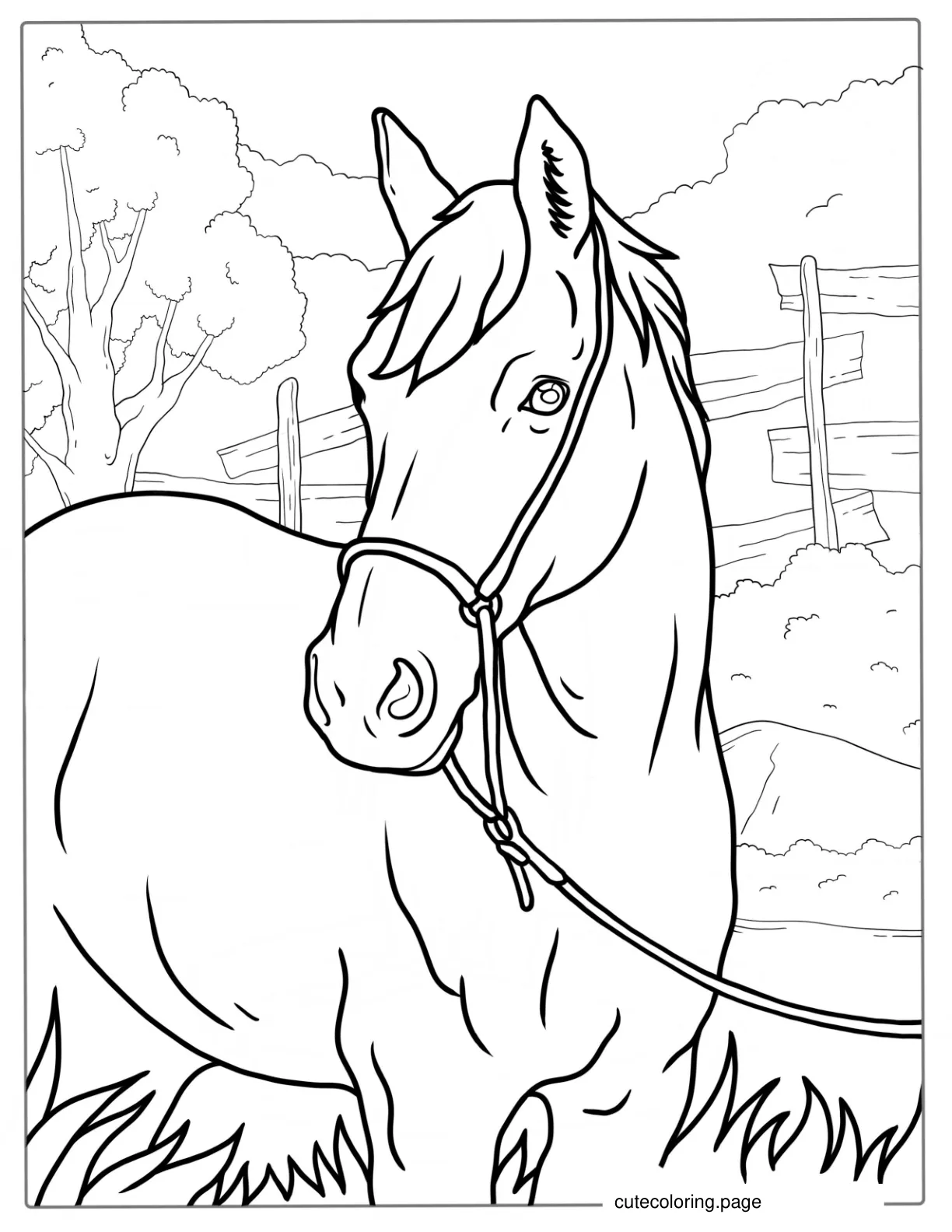 Horse Standing In Field Coloring Sheet coloring page