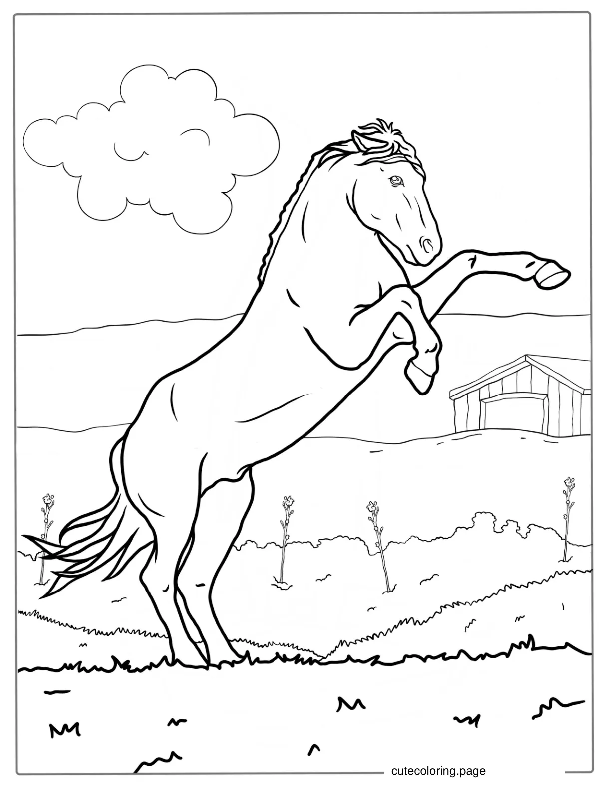 Horse Up On Hind Legs Coloring coloring page