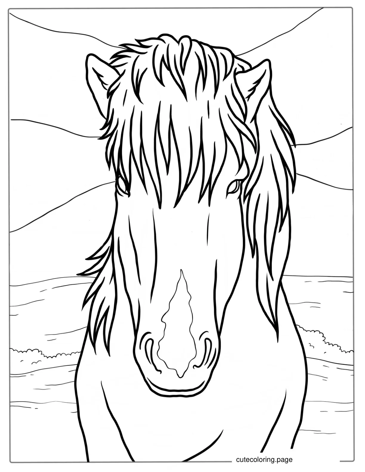 Miniature Horse Coloring Page For Kids coloring page