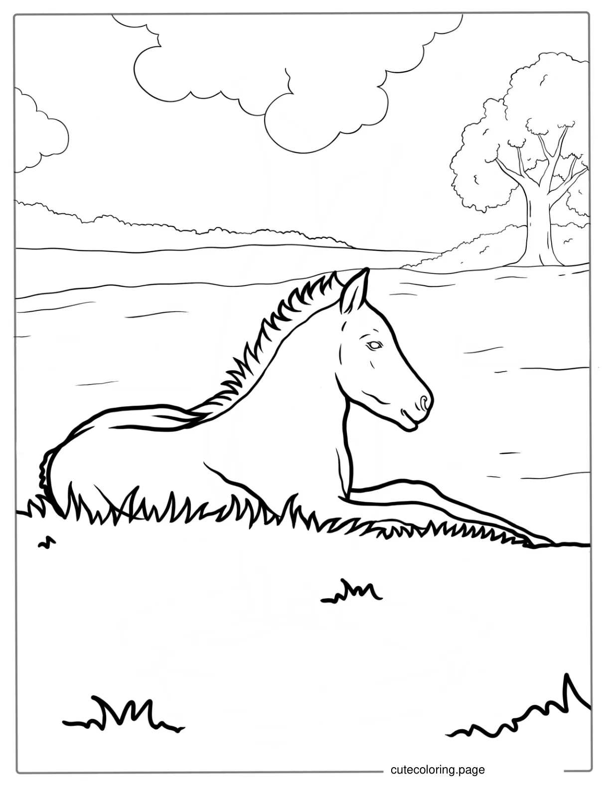 New Born Foal Resting On Grass To Color coloring page