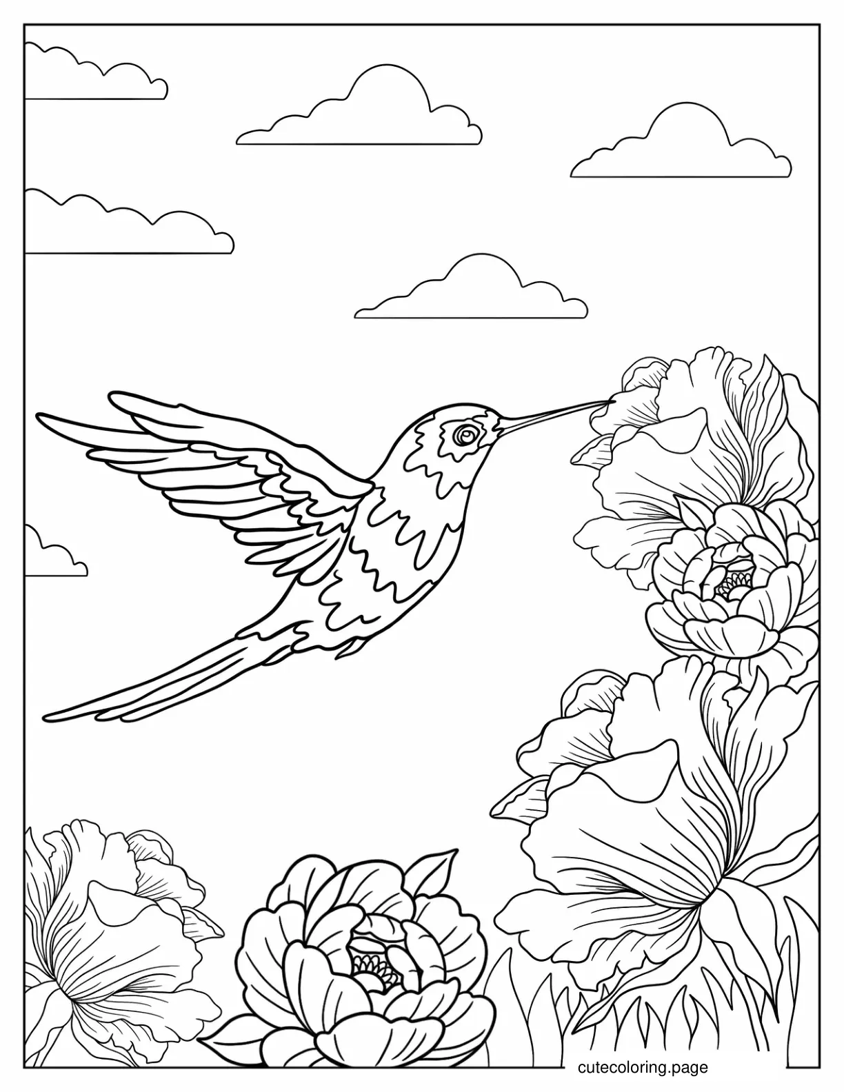 Coloring Page Of Realistic Hummingbird Flying coloring page