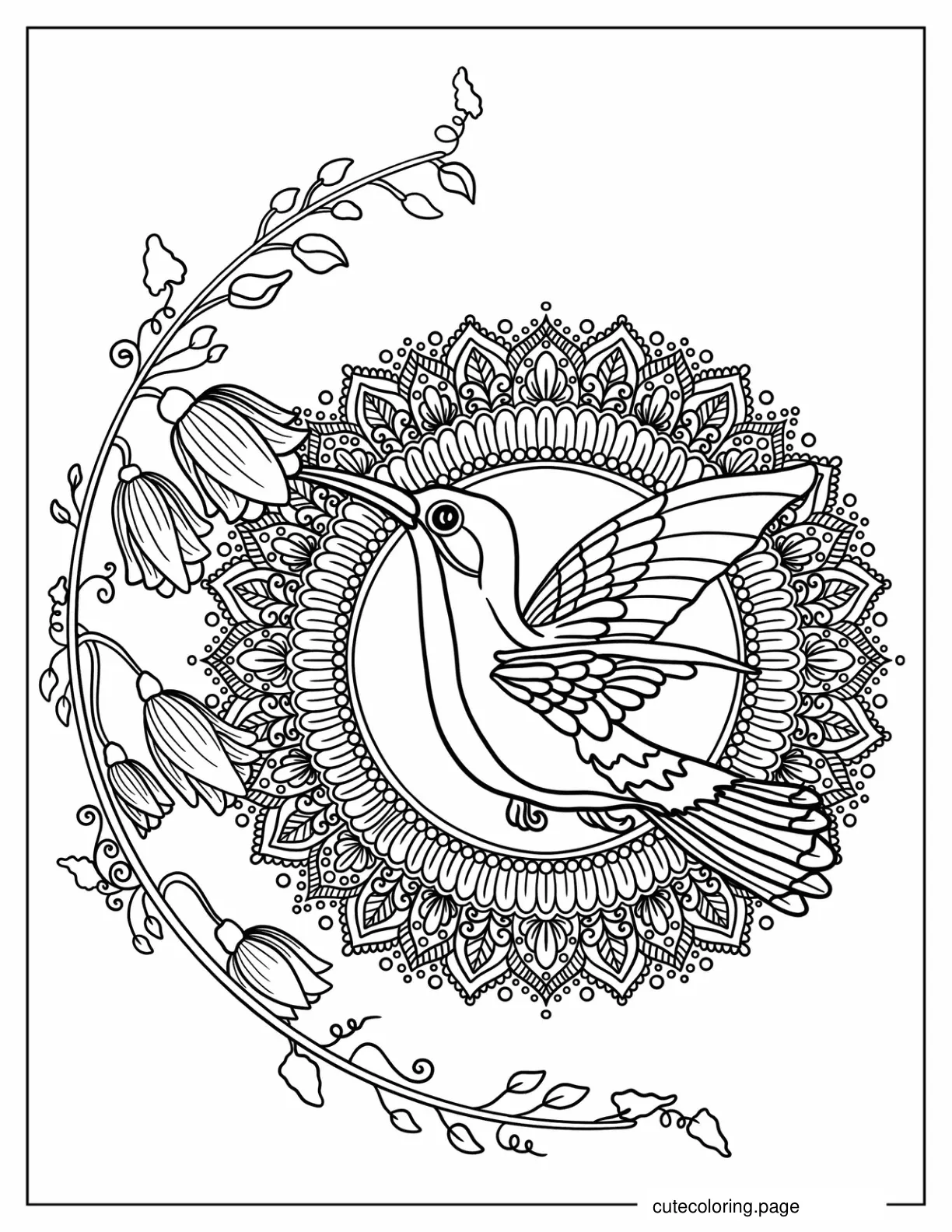 Coloring Sheet Of Hummingbird With Mandala coloring page