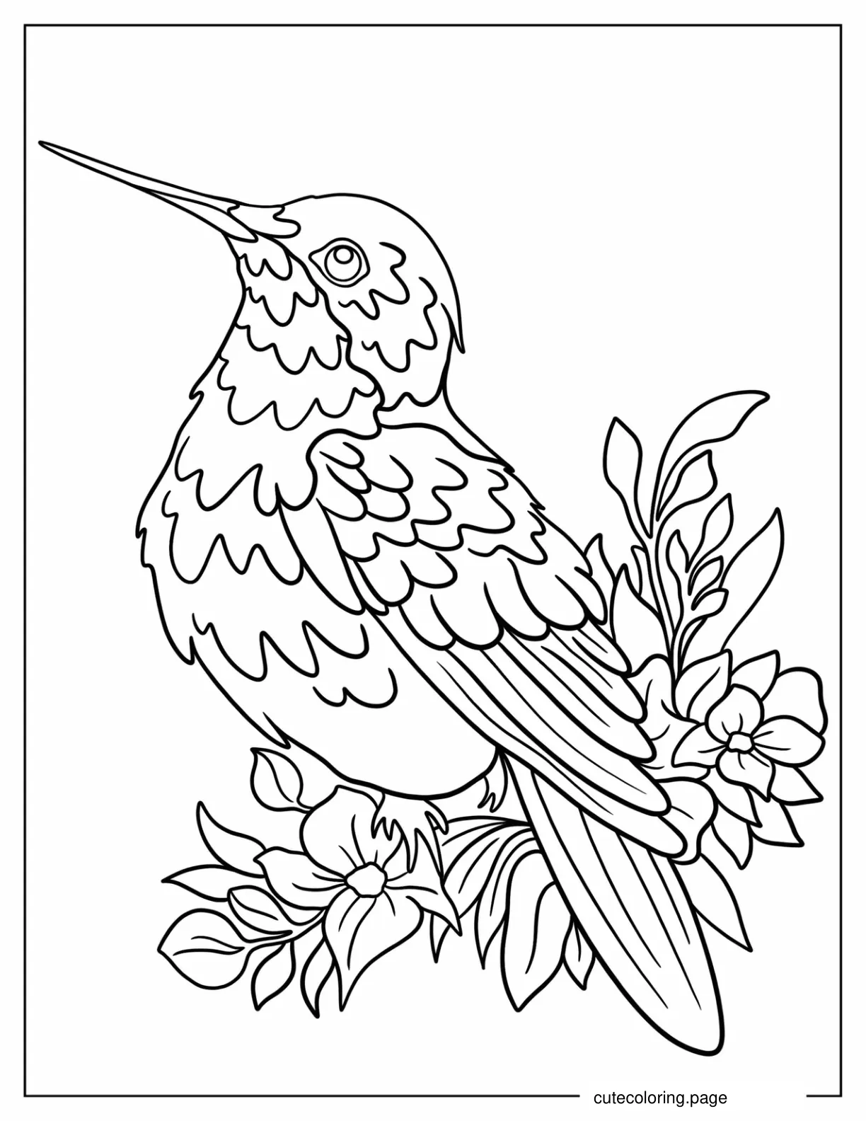 Coloring Sheet Of Perched Hummingbird coloring page