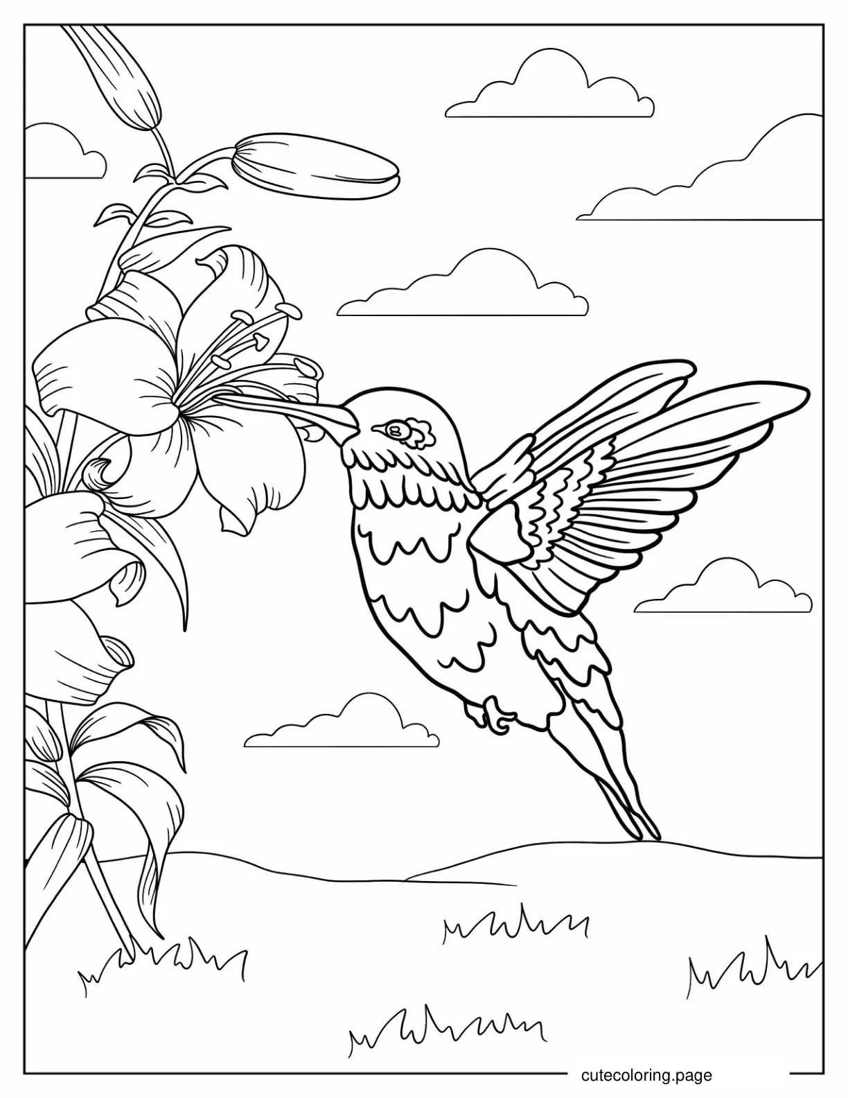 Detailed Hummingbird In The Air Coloring Page coloring page