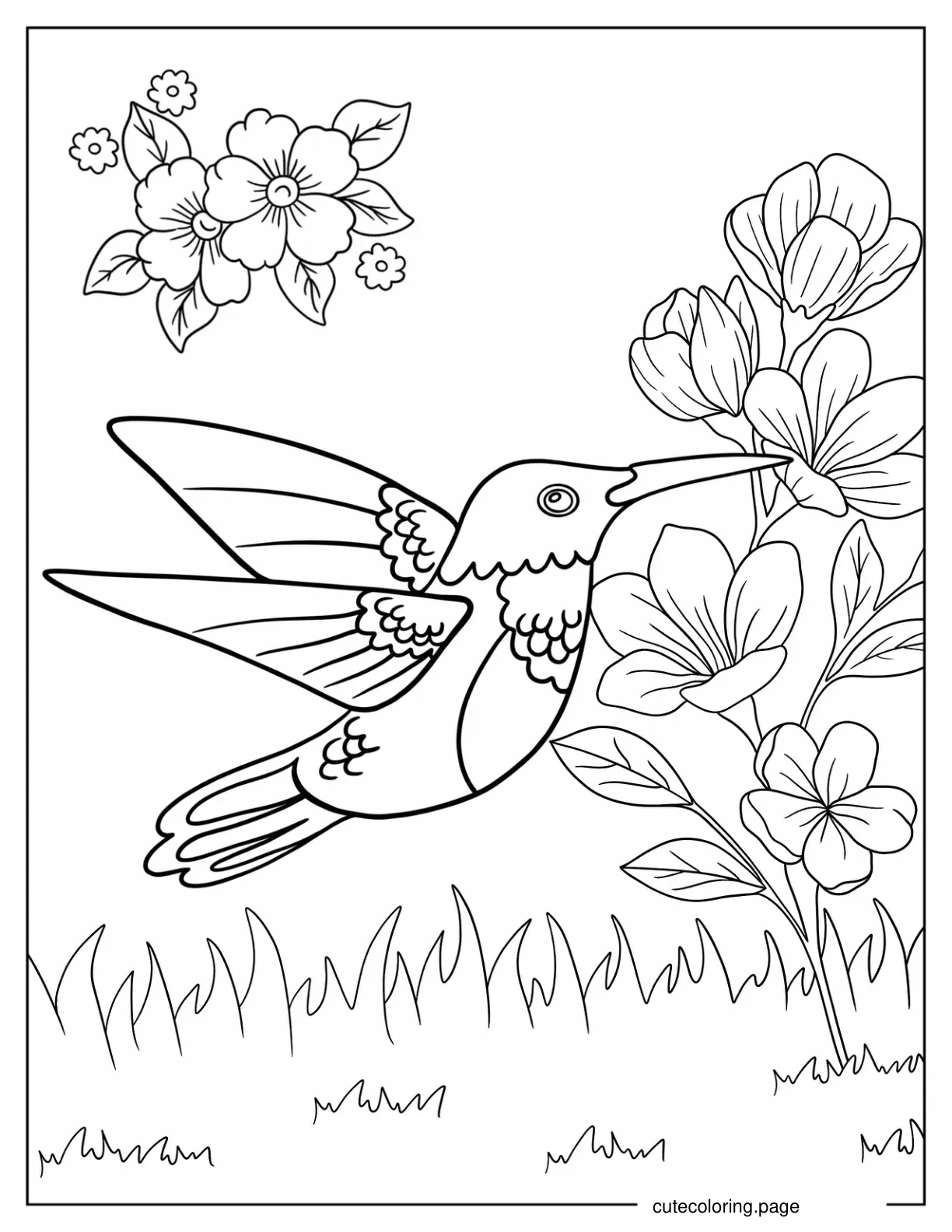 Easy Hummingbird For Preschoolers To Color coloring page