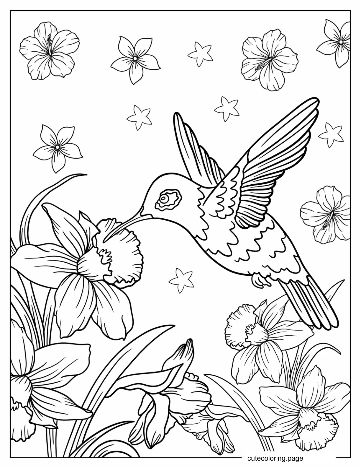 Hummingbird Looking For Nectar coloring page