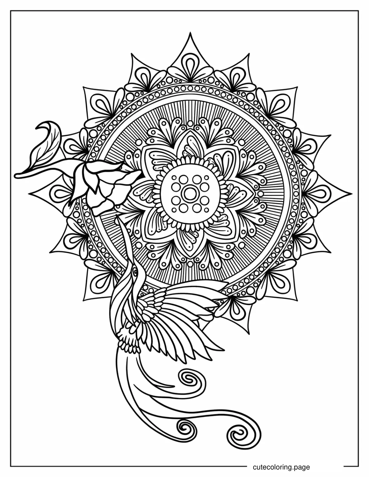 Hummingbird Mandala coloring page