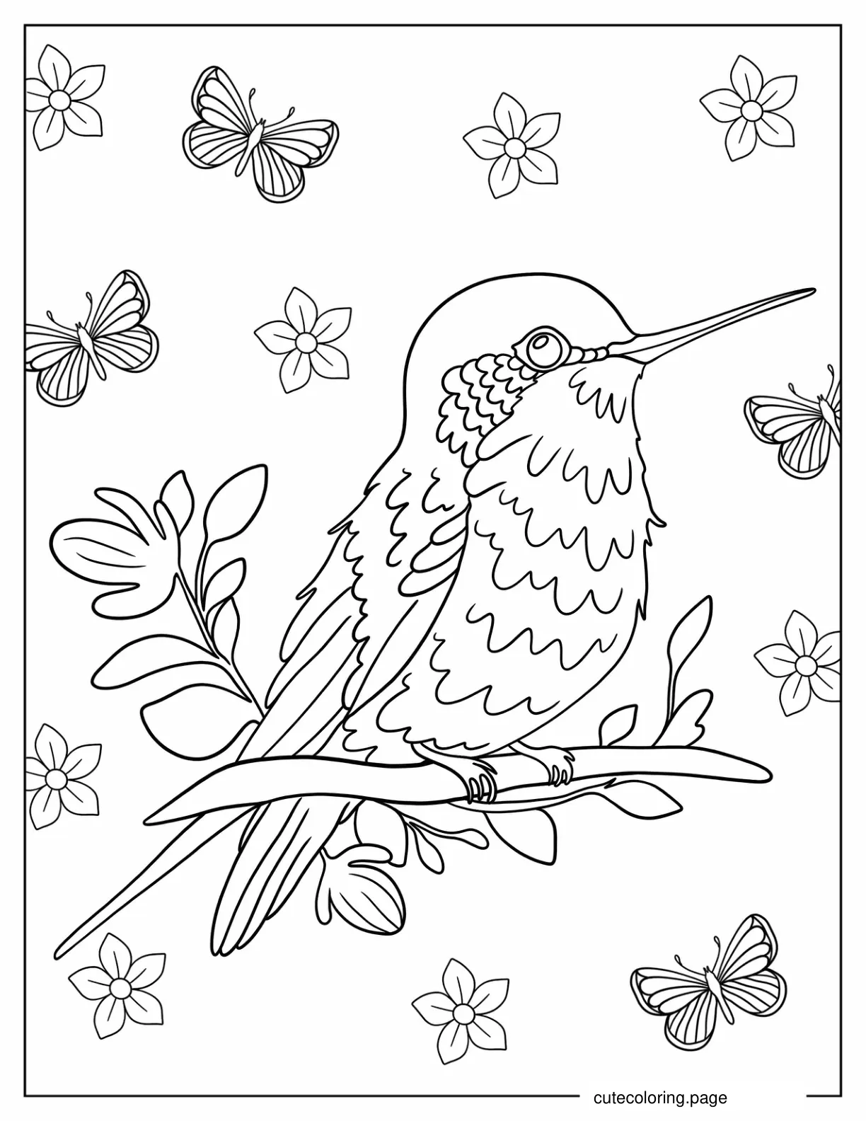 Hummingbird Perched On Branch Coloring Sheet coloring page