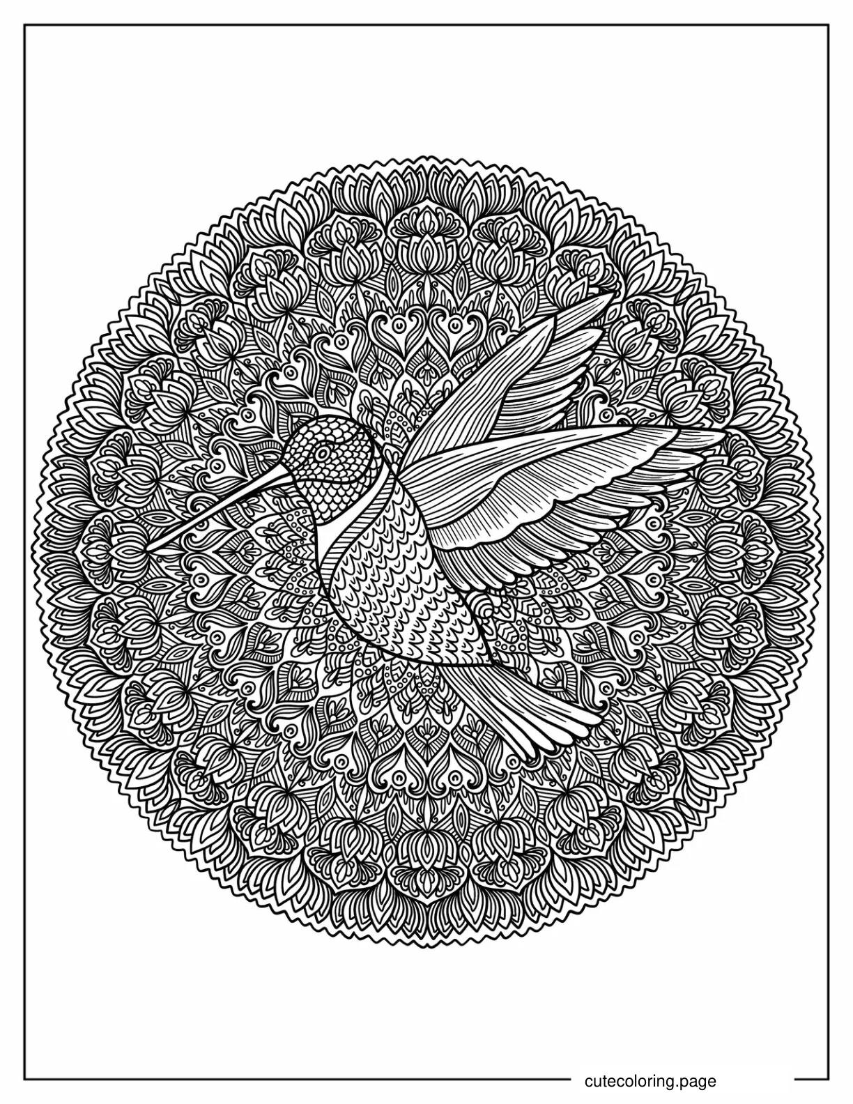 Intricate Hummingbird Mandala For Adults coloring page