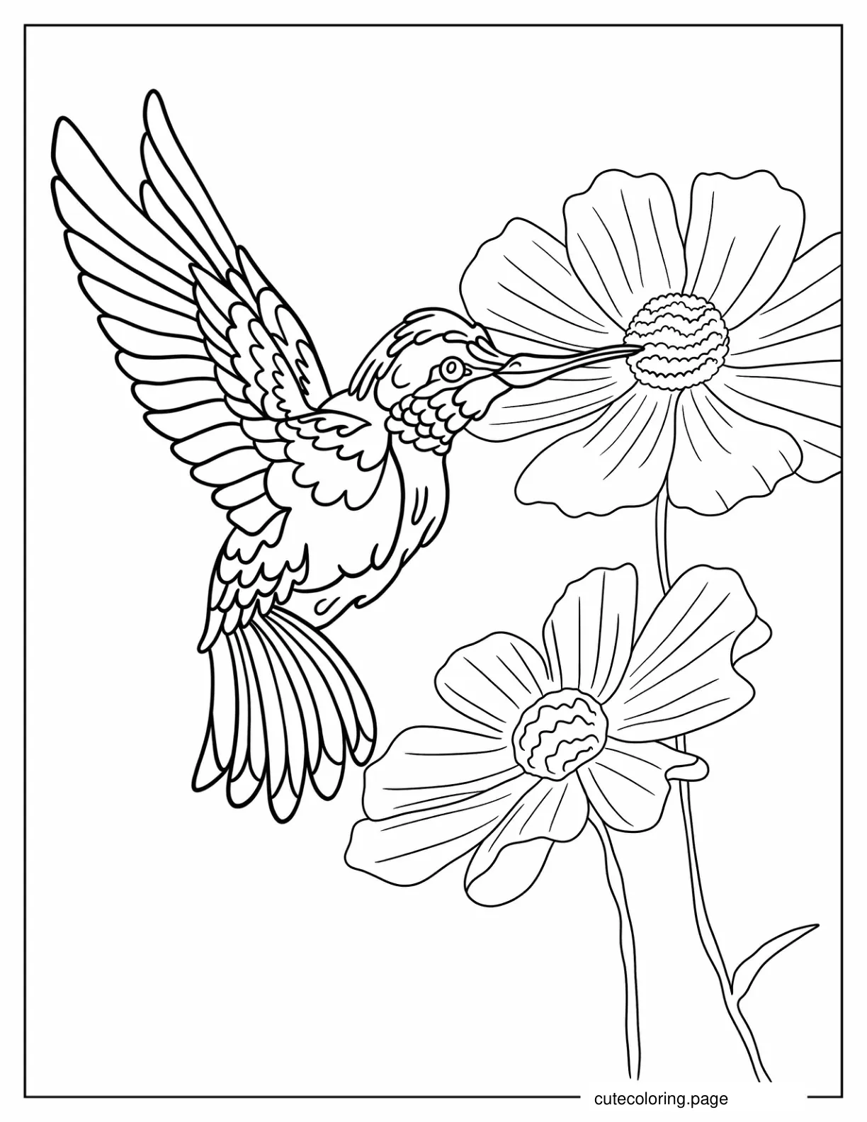 Realistic Hummingbird Drinking Flower Nectar Coloring Page coloring page