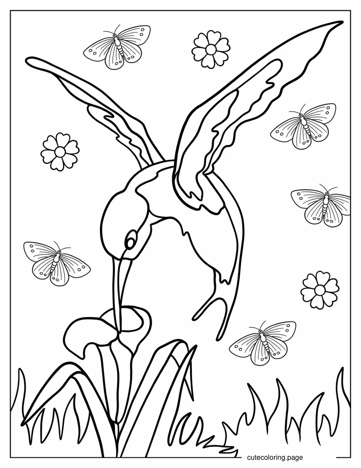 Simple Coloring Sheet Of Hummingbird Feeding coloring page