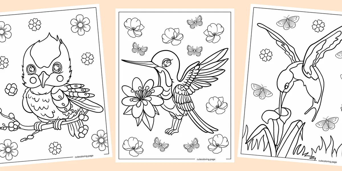 hummingbird-coloring-pages