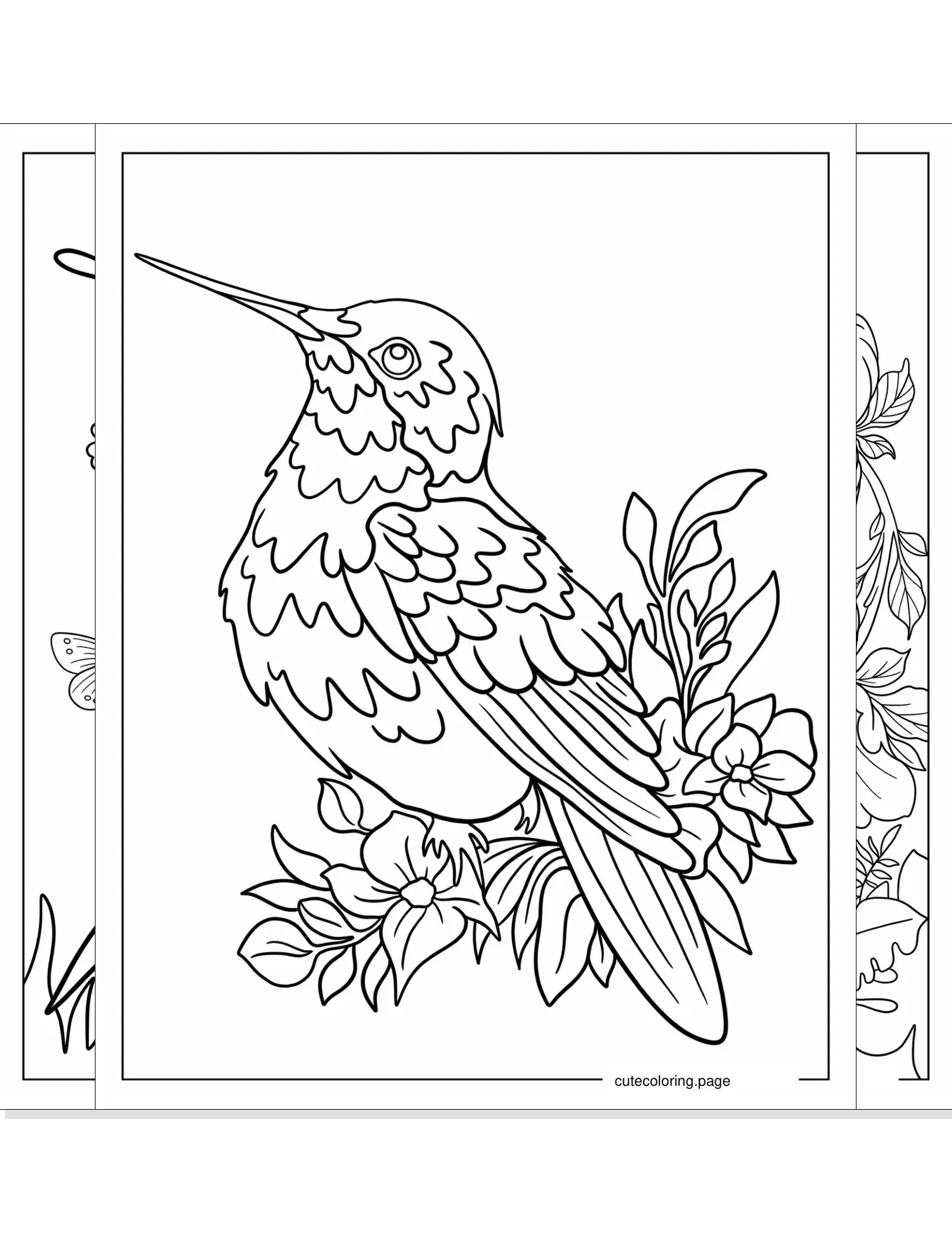 hummingbird coloring pages coloring page