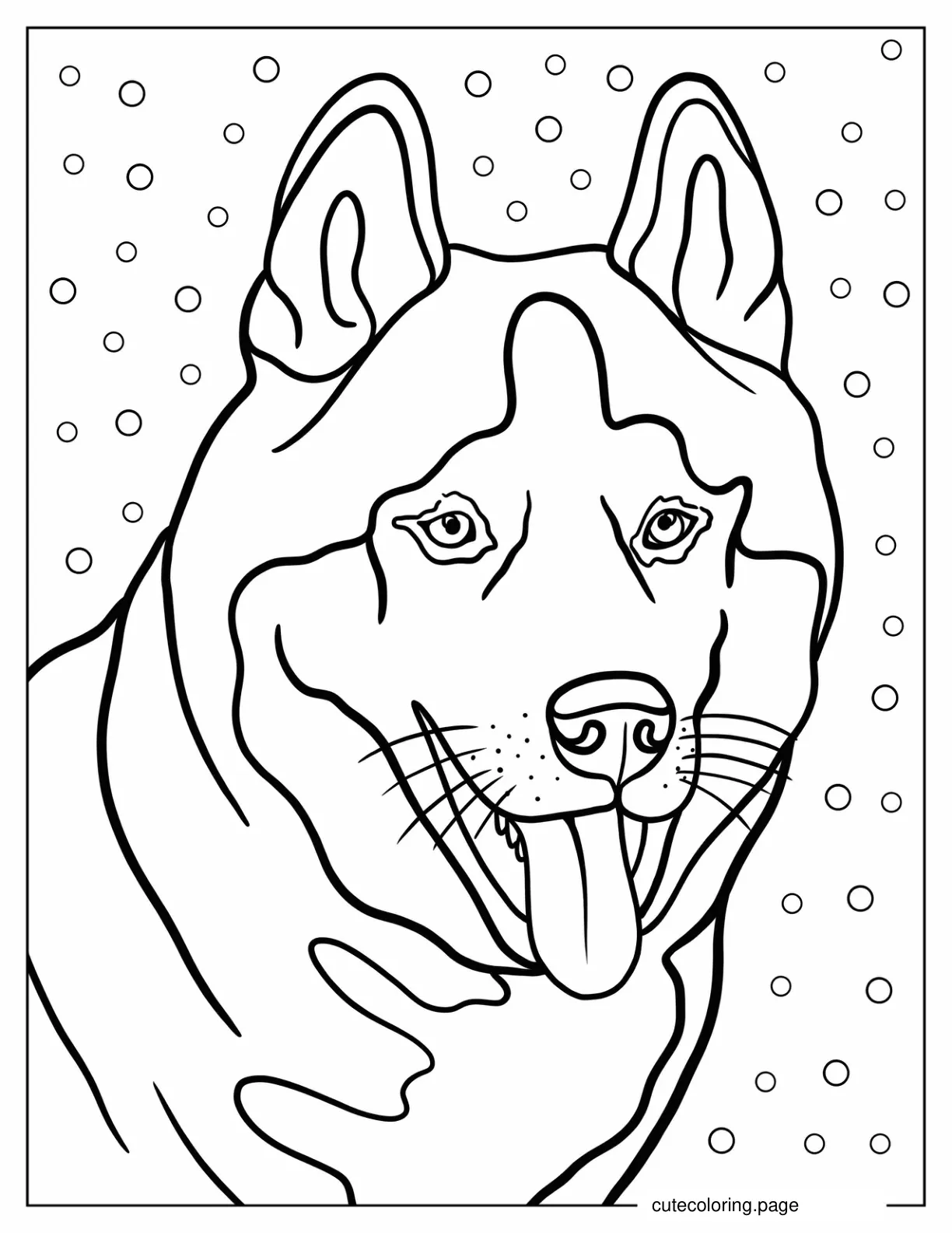 Adult Husky In The Snow To Color coloring page