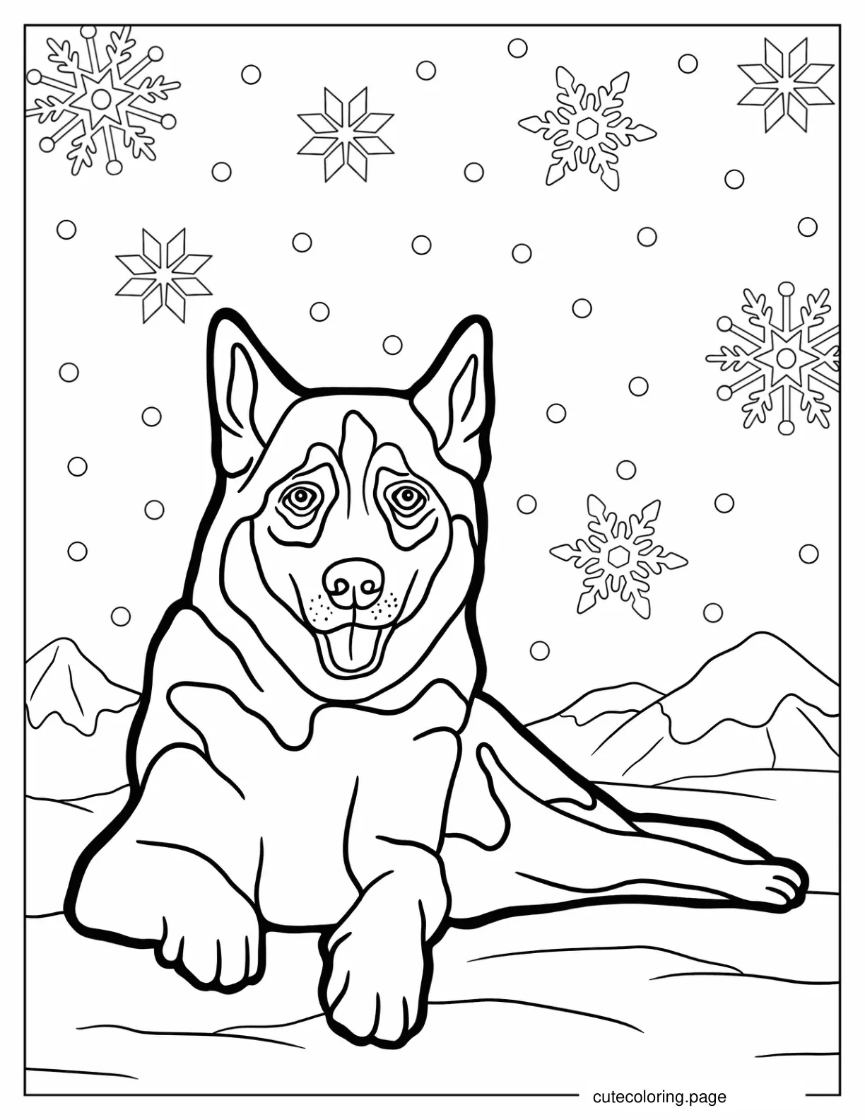 Adult Husky Resting In The Snow coloring page