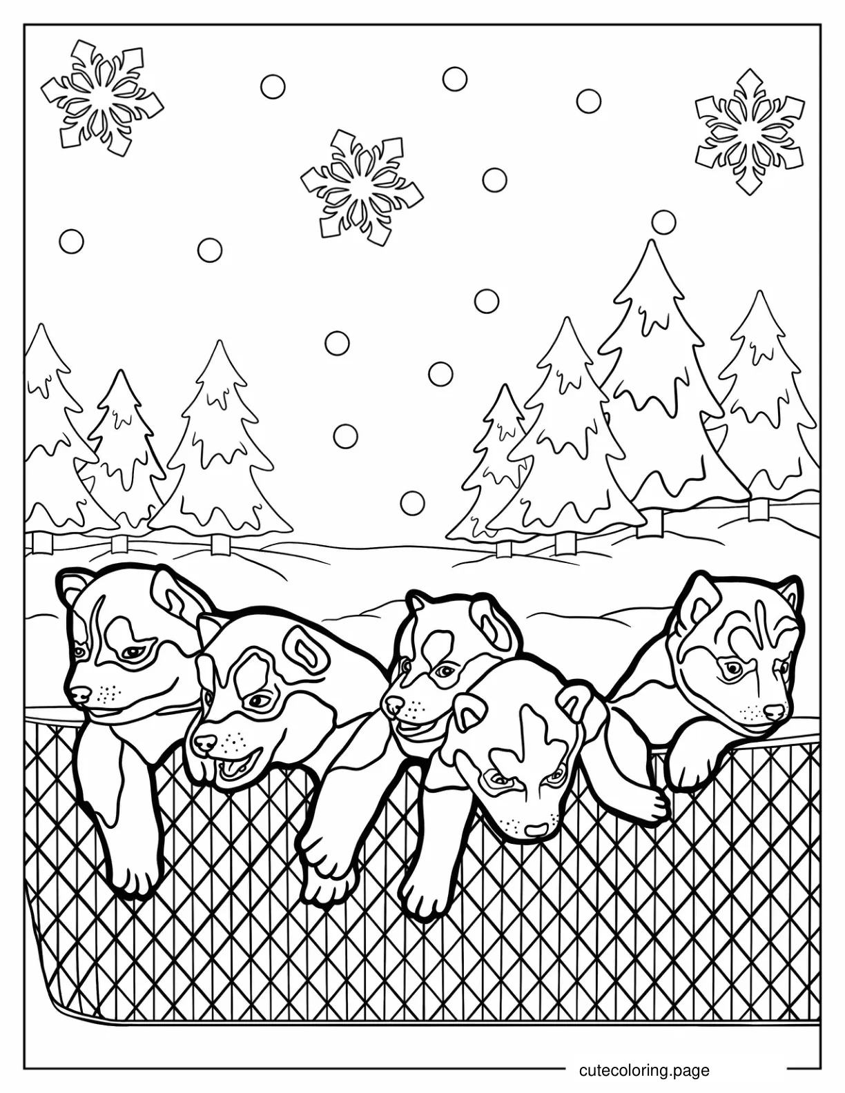 Cute Husky Puppies To Color coloring page