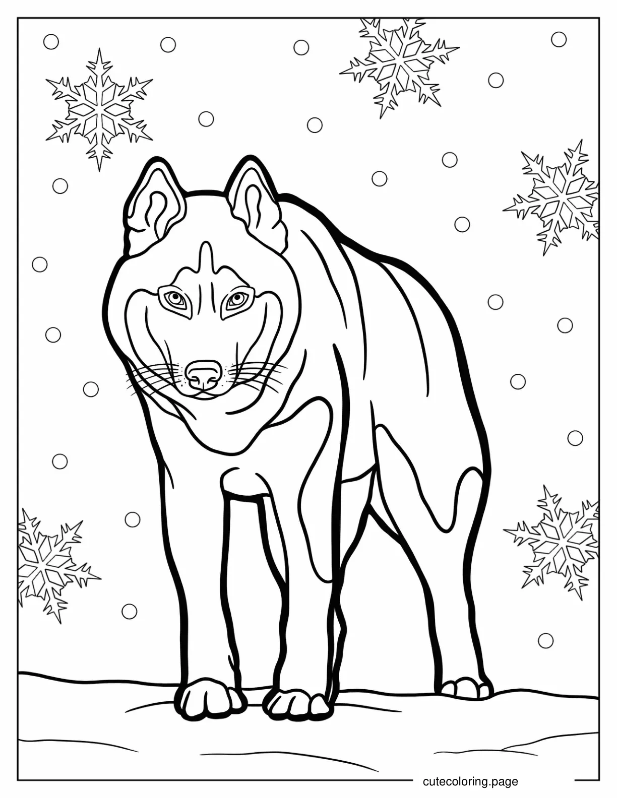 Fierce Looking Husky To Color coloring page