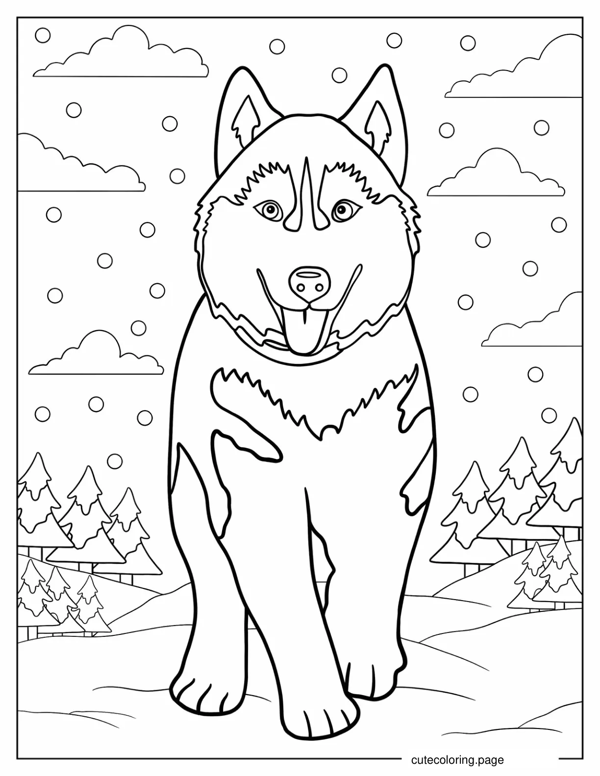 Fluffy Siberian Husky To Color coloring page