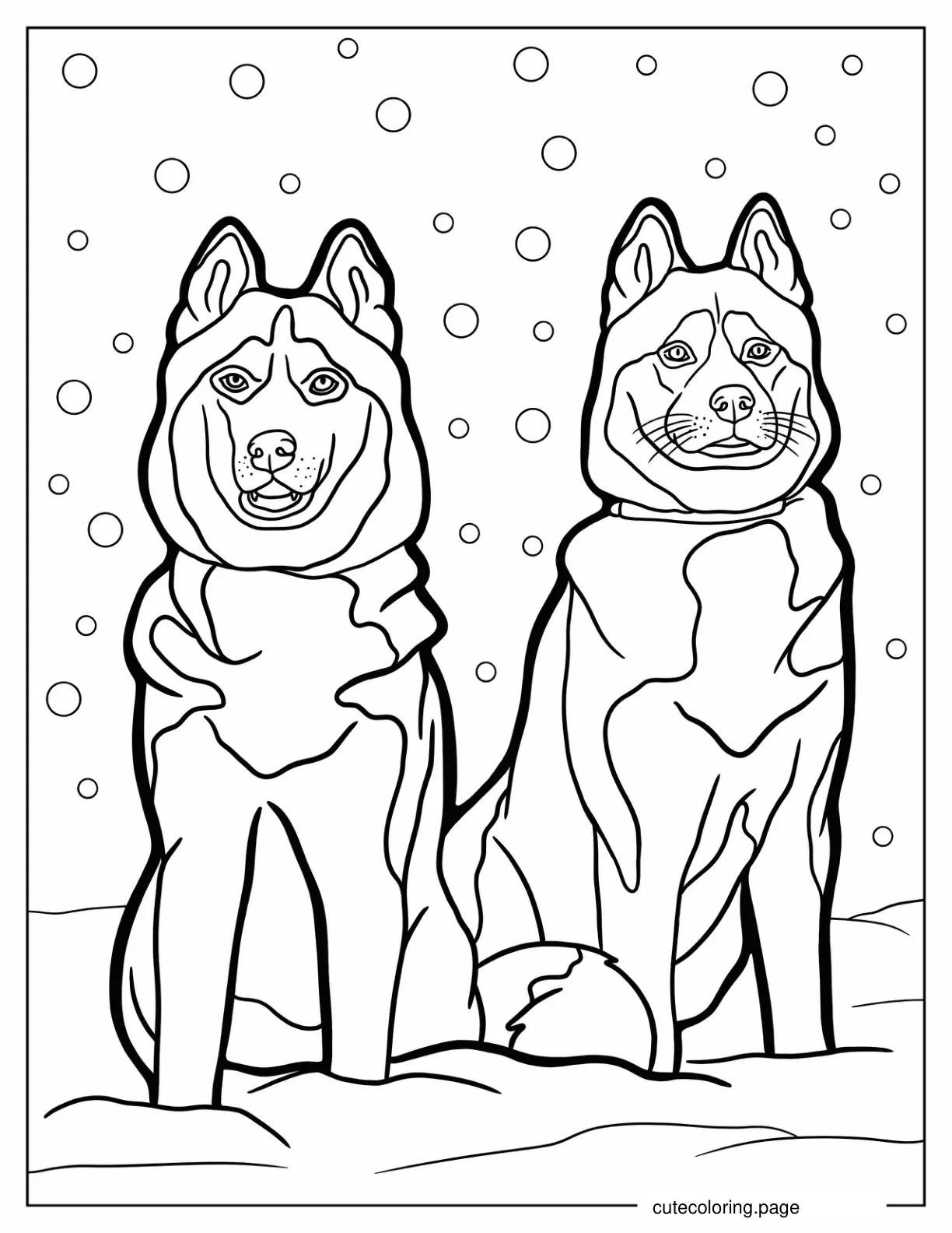 Two Adult Husky Dogs To Color coloring page