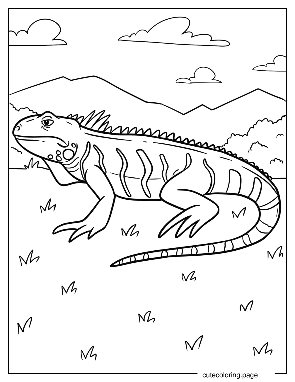 Easy Iguana Outline Coloring Page For Kids coloring page