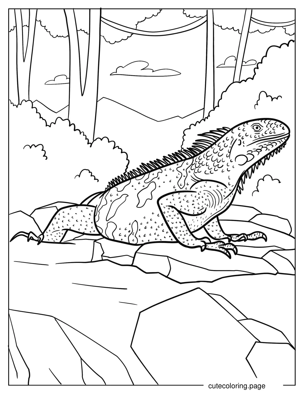 Iguana Crawling Over Rocks coloring page