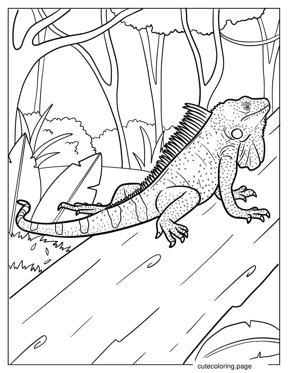 Large Realistic Iguana Climbing Tree Coloring Page coloring page