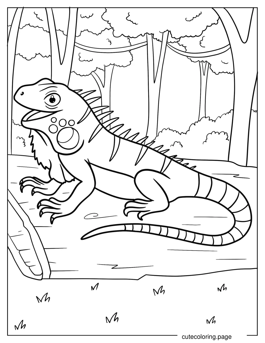 Simple Iguana With Mouth Open Coloring Sheet coloring page