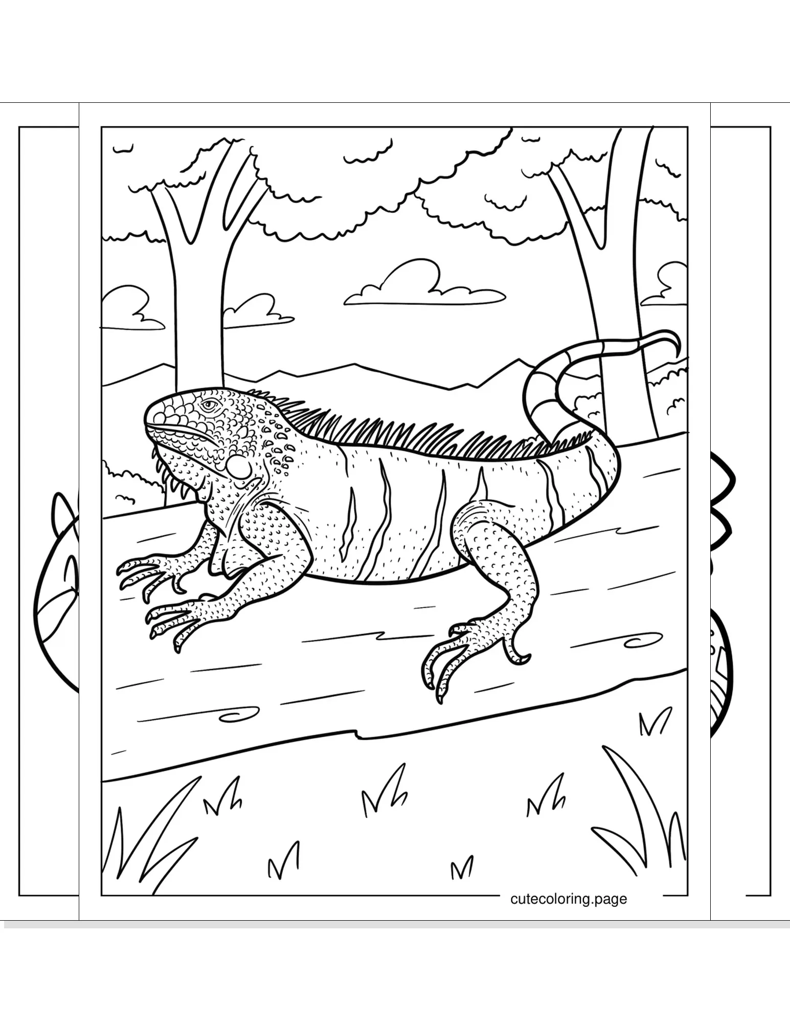 iguana coloring pages coloring page