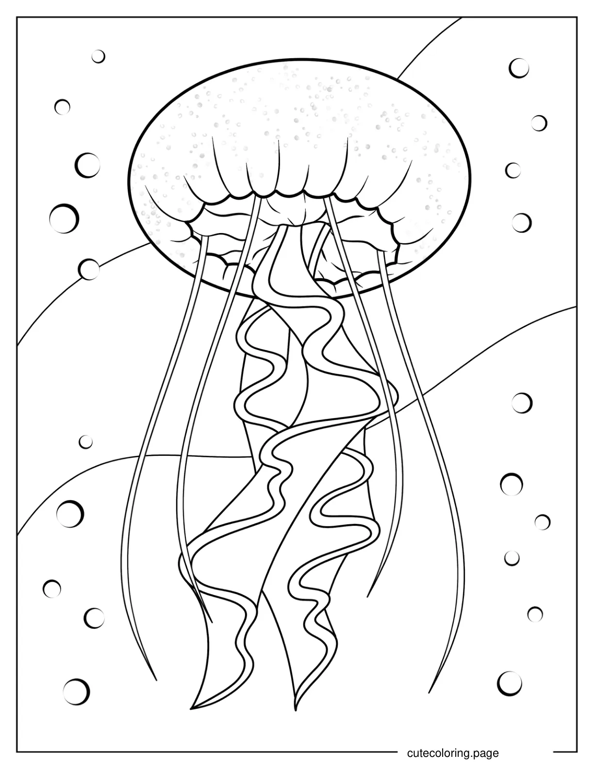 Bottom View Of Sea Nettle Jellyfish Coloring Page coloring page