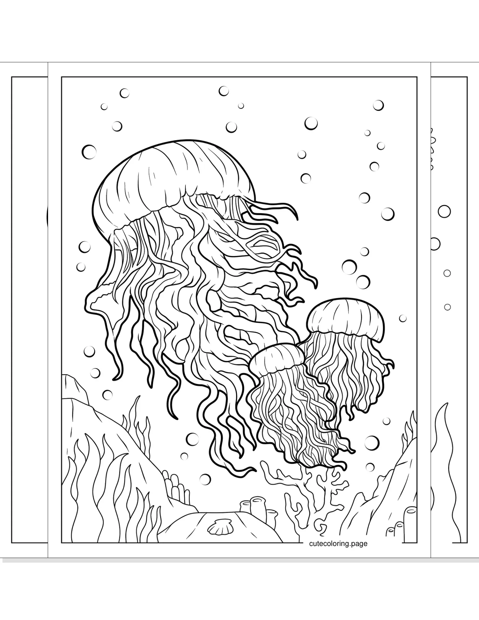 jellyfish coloring pages coloring page