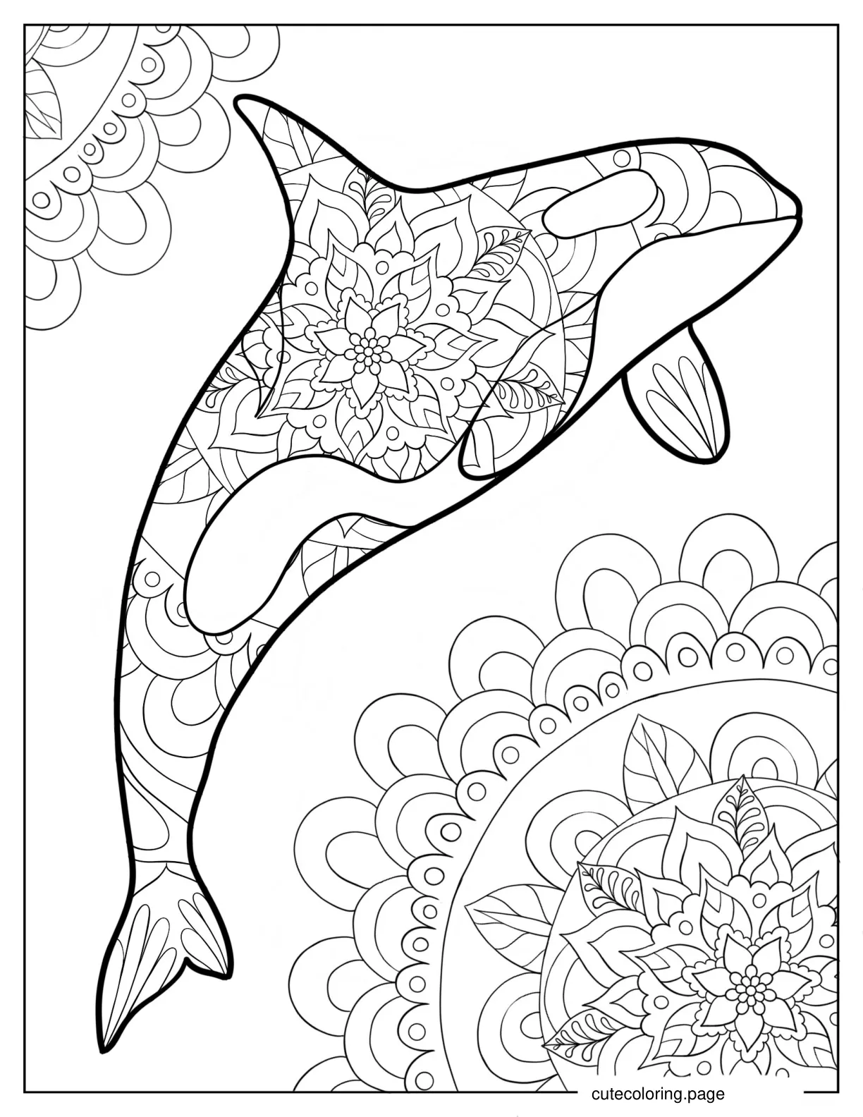 Intricate Killer Whale Mandala Coloring Sheet coloring page