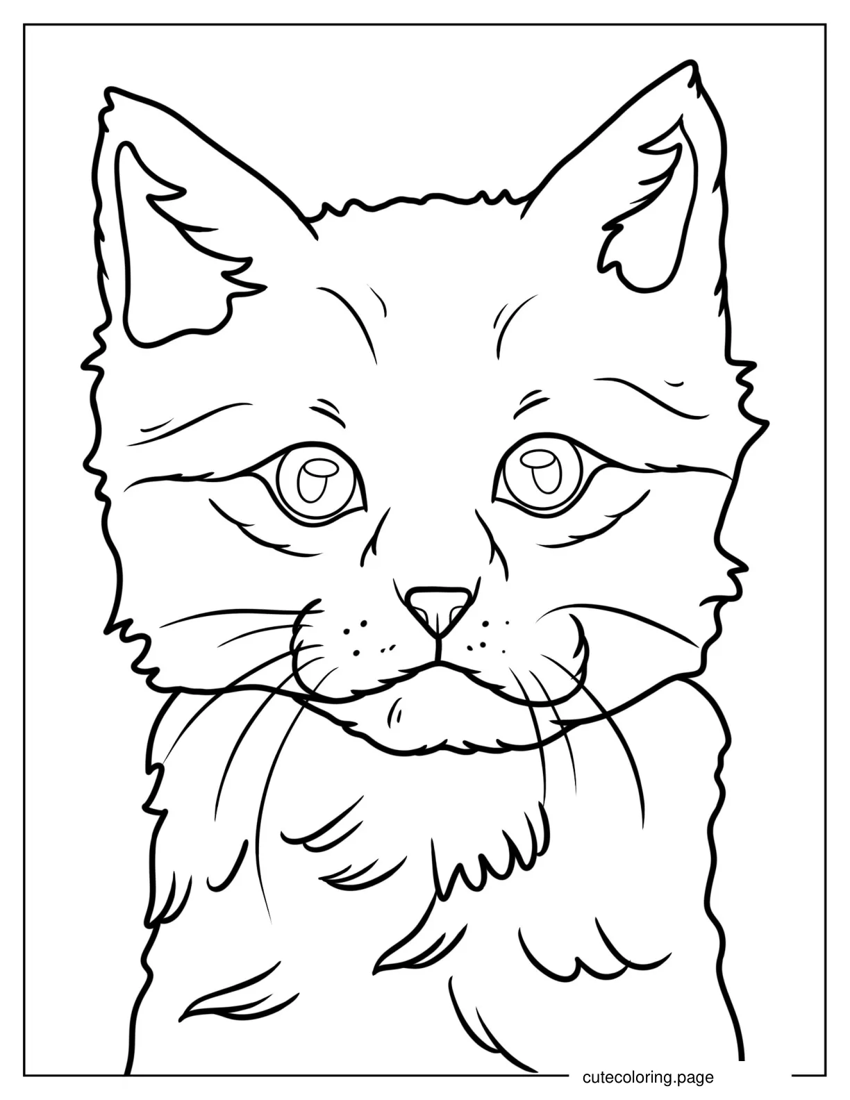 Close Up Of Realistic Kitten Coloring In coloring page