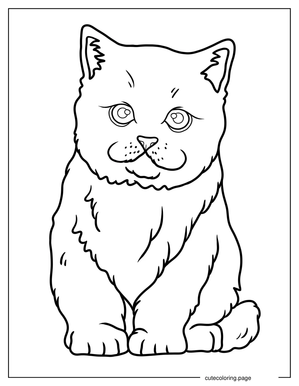 Easy Kitten Outline Coloring Page For Kids coloring page