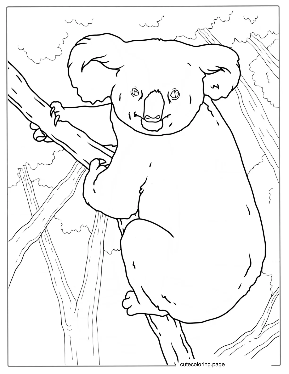 Big Koala Sitting In Tree To Color coloring page