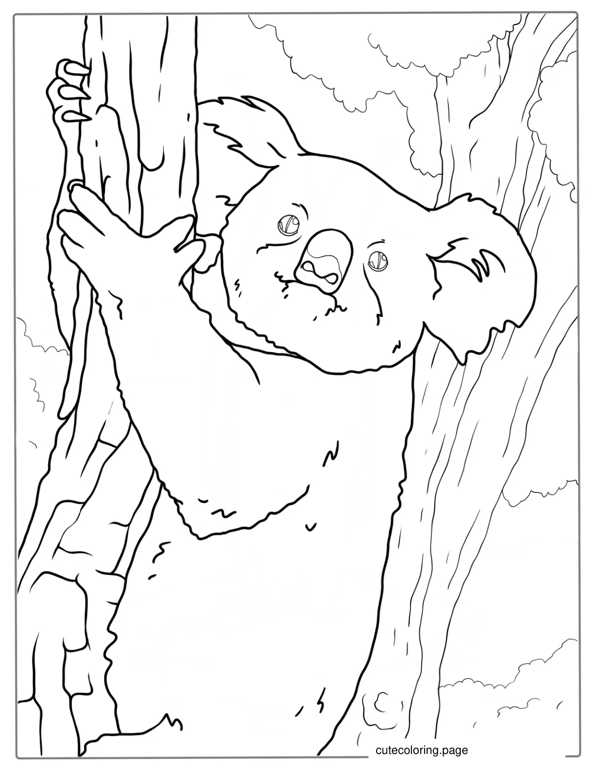 Shaggy Koala Climbing Tree Coloring Page coloring page