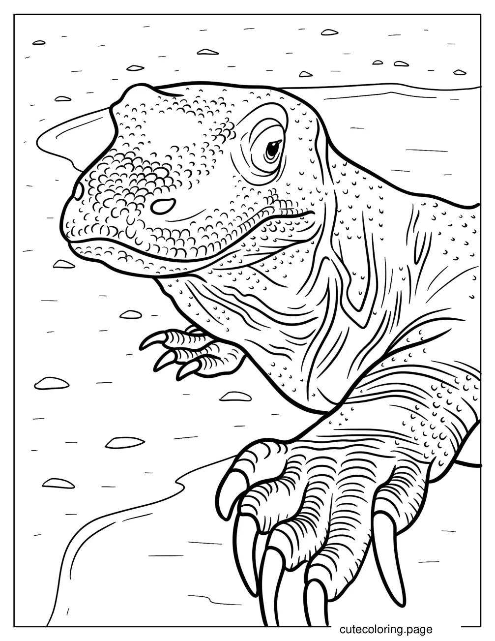 Close Up Of Komodo Dragon Coloring Page coloring page