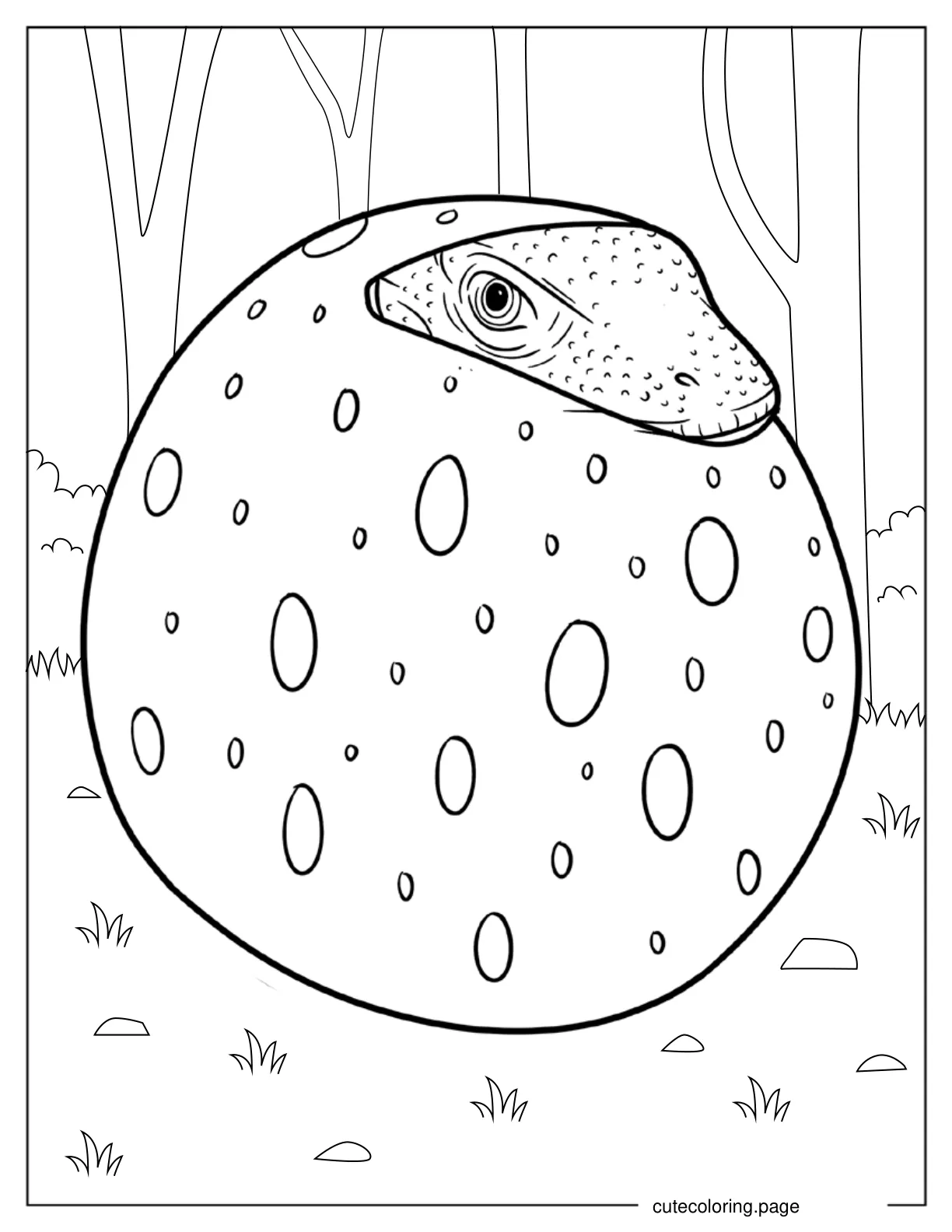 Komodo Dragon Hatching From Egg coloring page