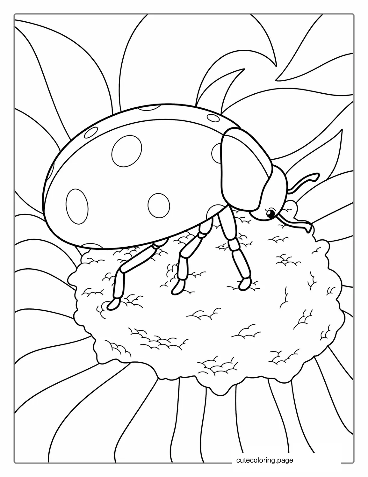 Detailed Ladybug On Daisy Flower Coloring Page coloring page