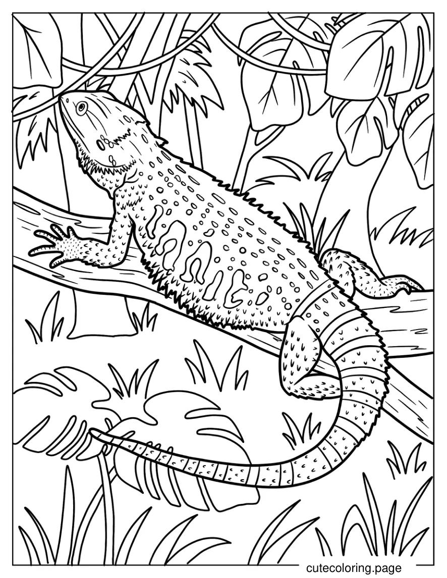 Bearded Dragon Lizard In Jungle Coloring Sheet coloring page