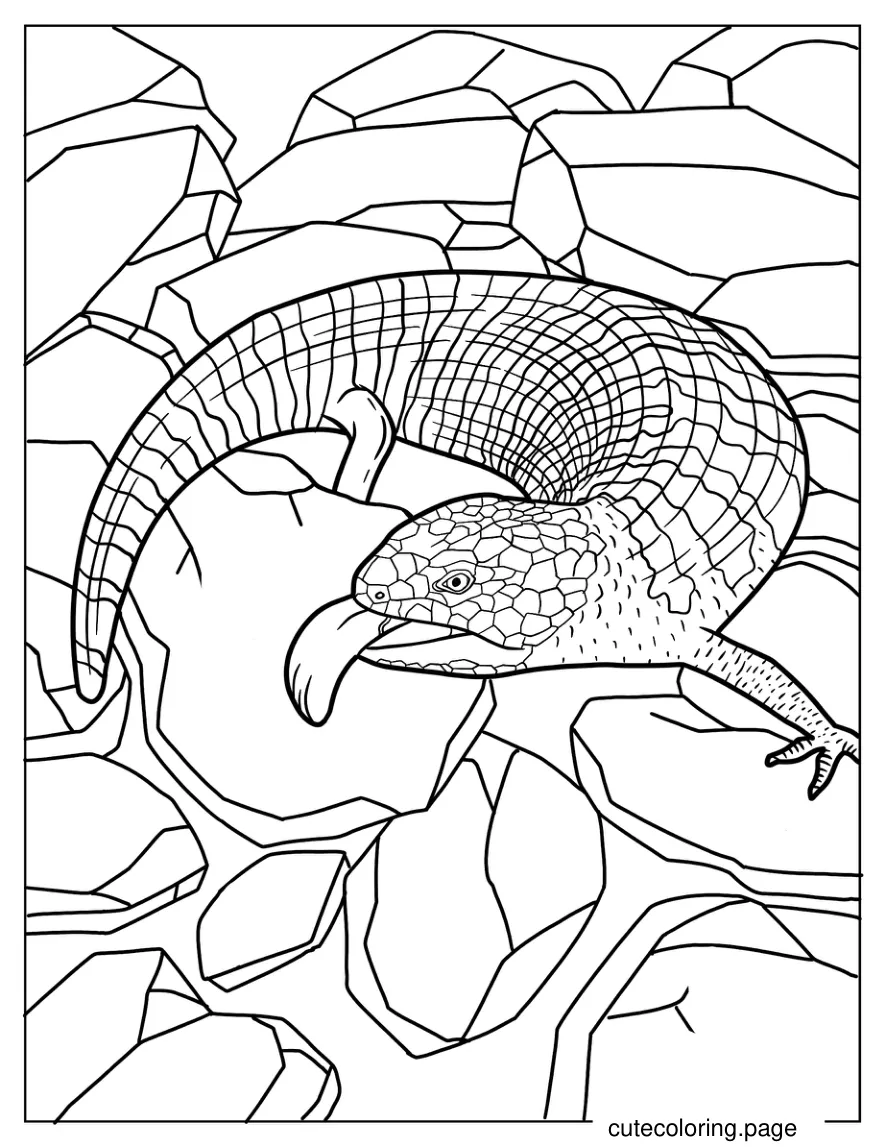 Blue Tongued Skink Lizard Hissing Coloring Sheet coloring page