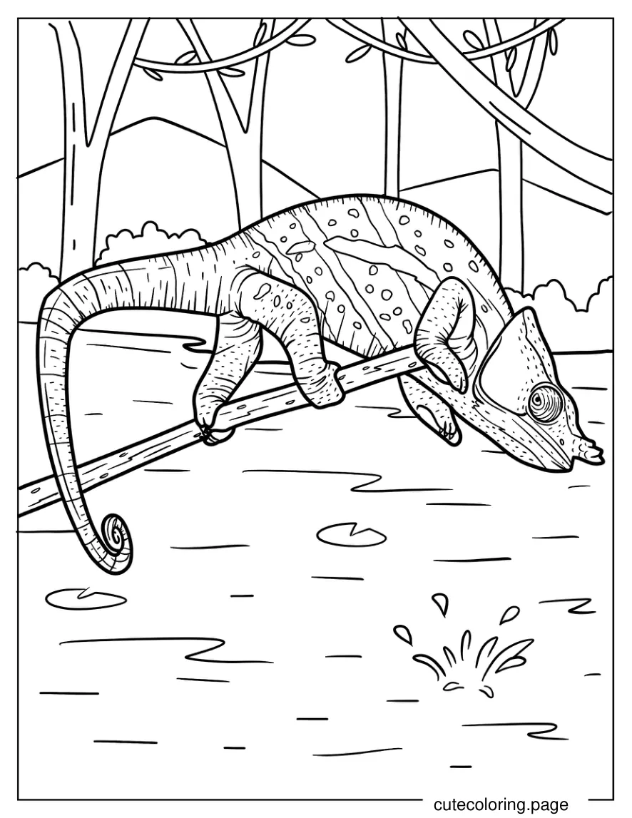 Chameleon Lizard On Edge Of Stick Coloring Sheet coloring page