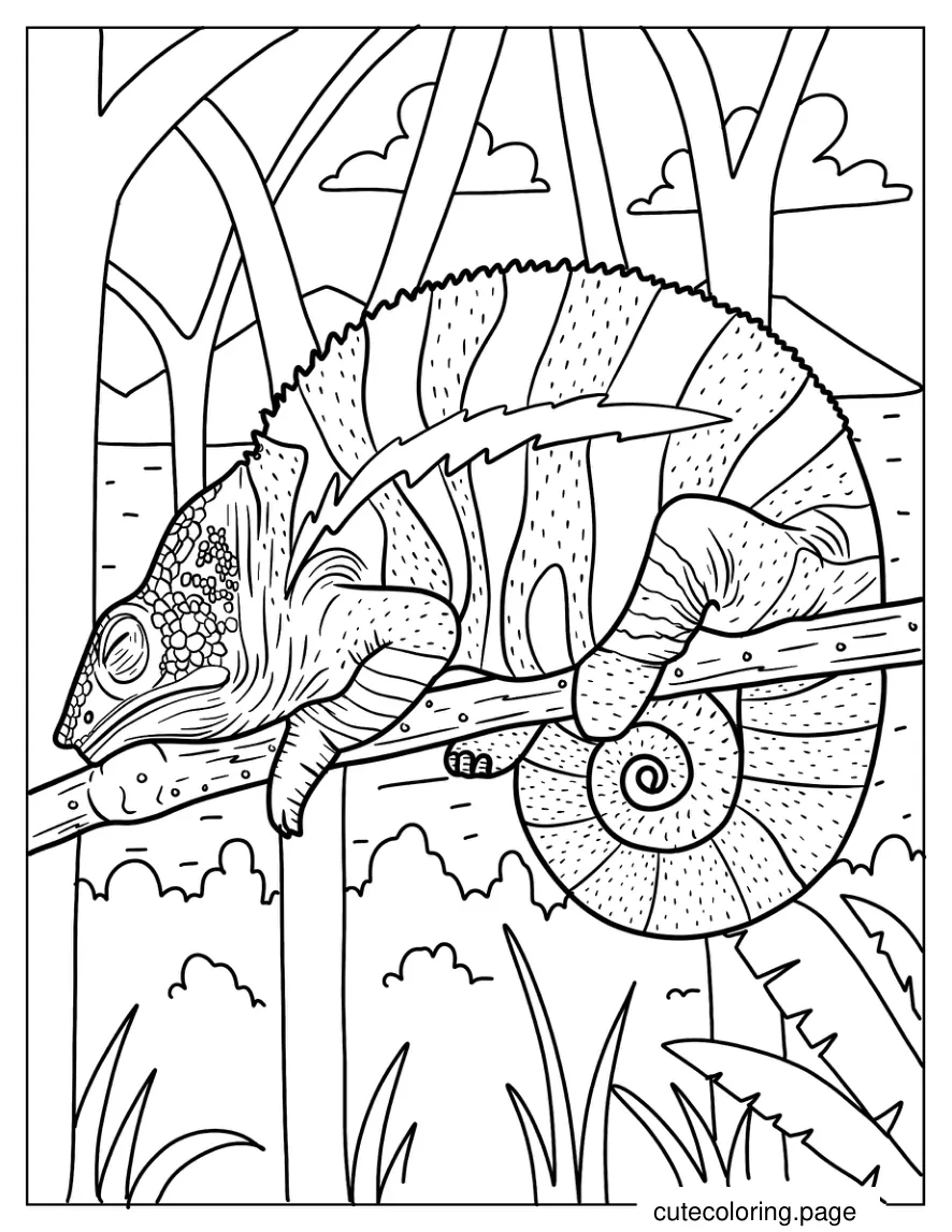 Chameleon With Curled Tail Sleeping coloring page