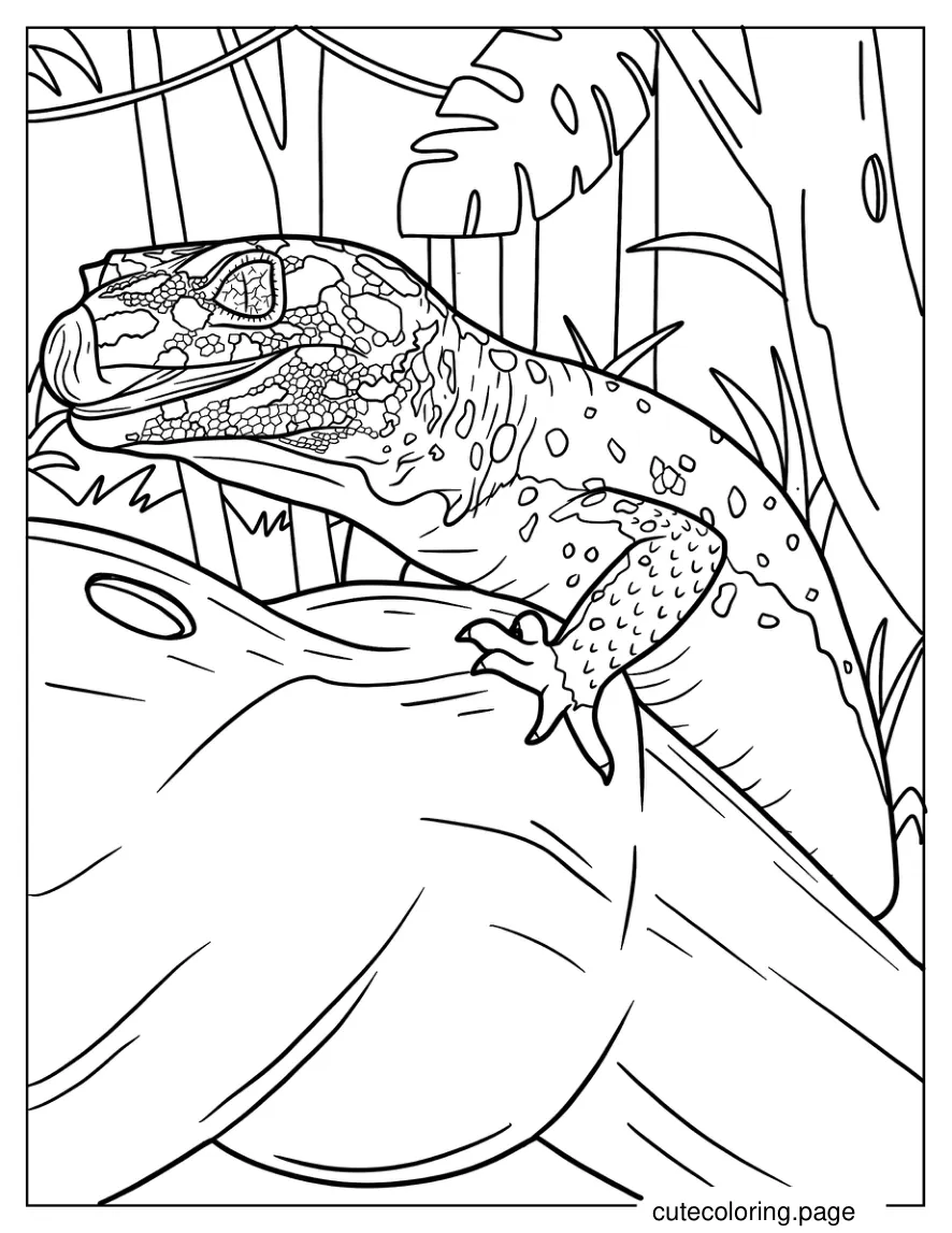 Close Up Of Leopard Gecko coloring page